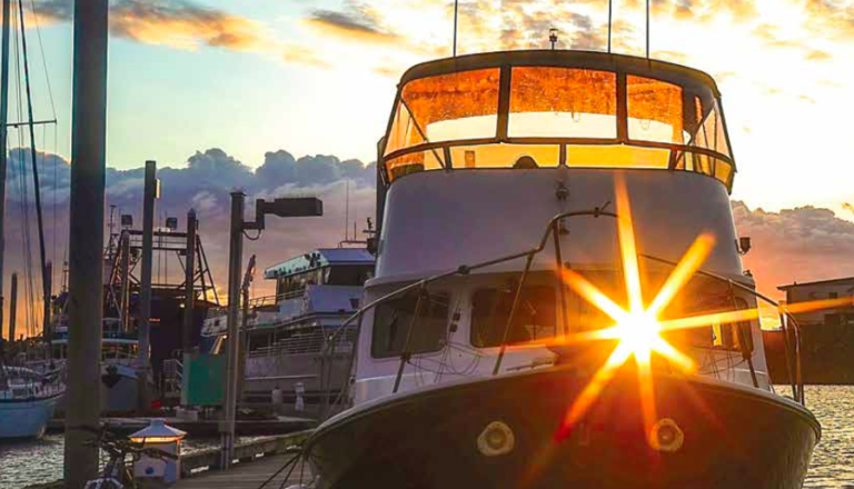 Federal judge upholds state control in Cook Inlet salmon fishery management dispute