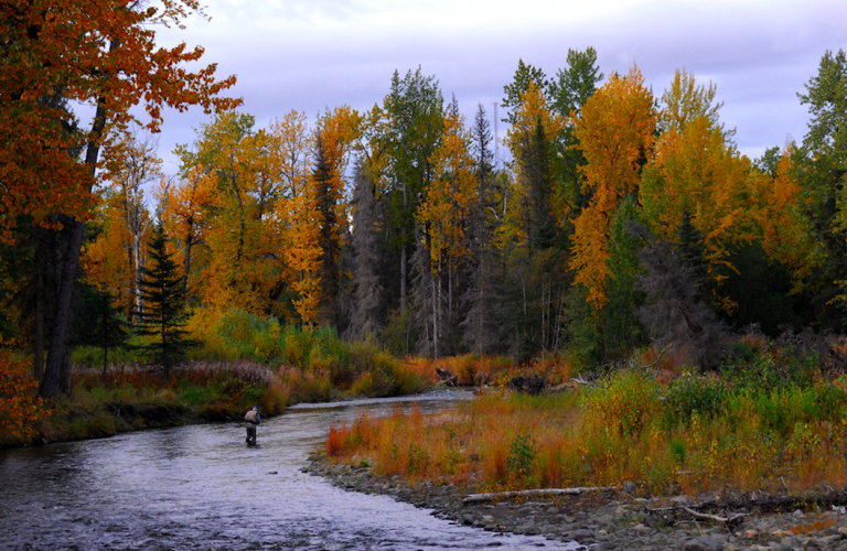 Kenai fishing group wants ‘feed Alaskans first’ rule