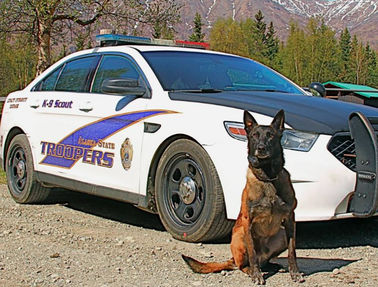 Two women charged after August hit-and-run in Delta Junction