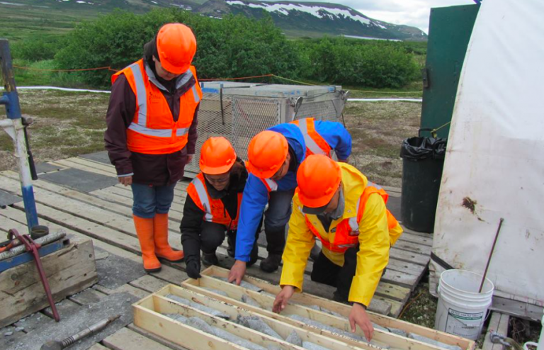 Walker to Army Corps of Engineers: Stop Pebble now