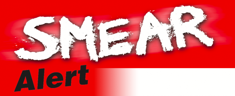 GOP chair scolds Riggs campaign for ‘cheap personal attack’