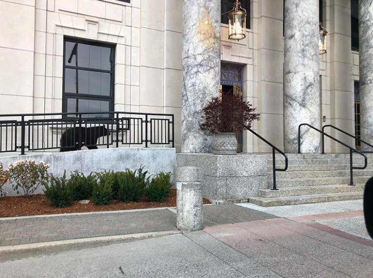 Bearly legal at Capitol