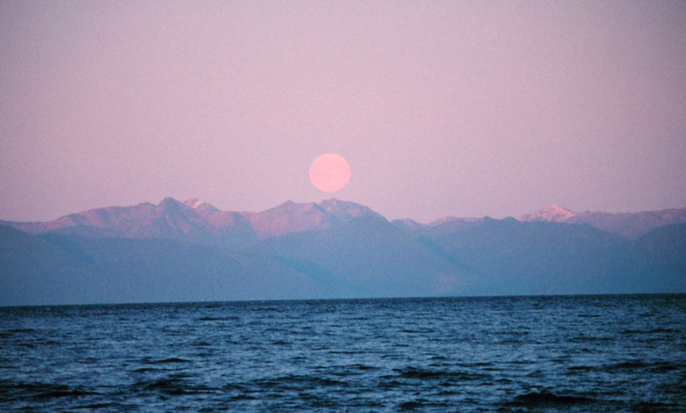 Search suspended; Guardian Flight says debris ‘likely’ from missing plane