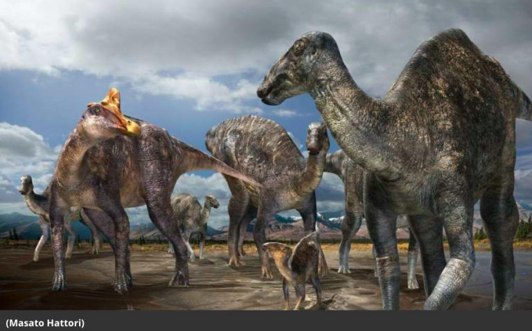 New Arctic dinosaur fossils discovered in Colville River