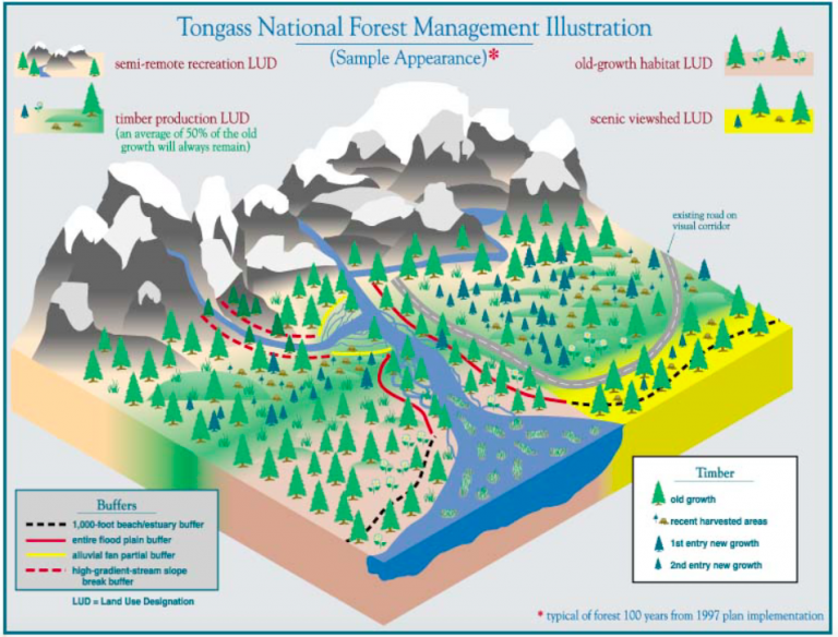 Enviro-groups sue to stop logging on Prince of Wales