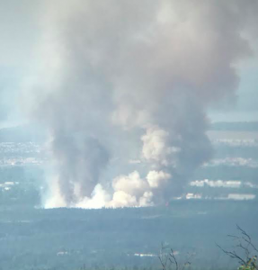 Stories from the fires