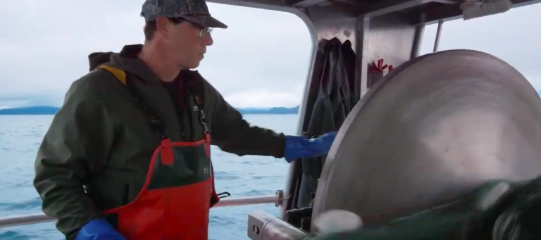 Al Gross makes it official: Running for Senate