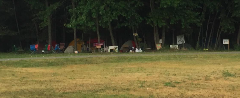 Camp Berkowitz moves to Valley of the Moon Park