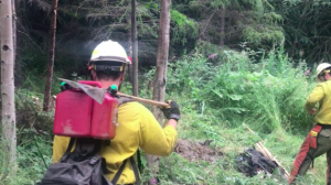Swan Lake Fire winding down