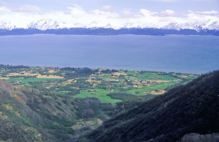 Country star at wit’s end in land rights dispute with aggressive Homer group