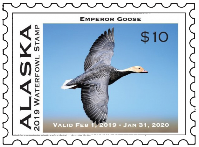 Alaska Life Hack: Duck, moose season starts with a bang