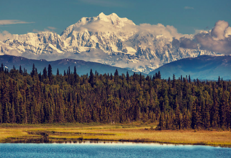 The mountain has labored and brought forth a mouse