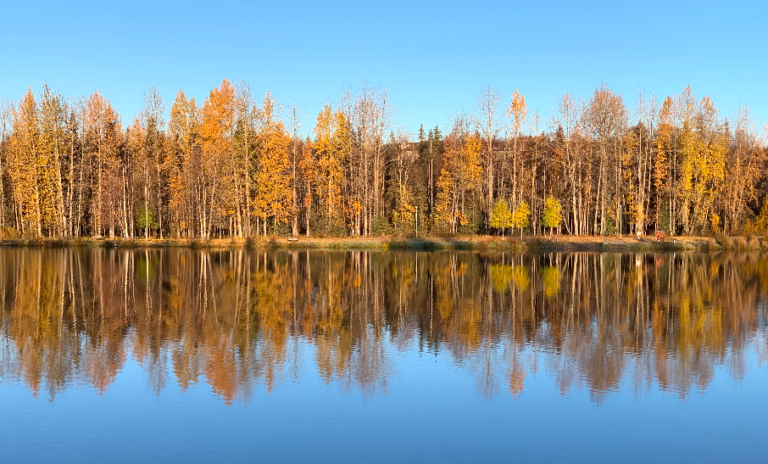 Dog attacked by otters at Taku Lake is injured, but OK