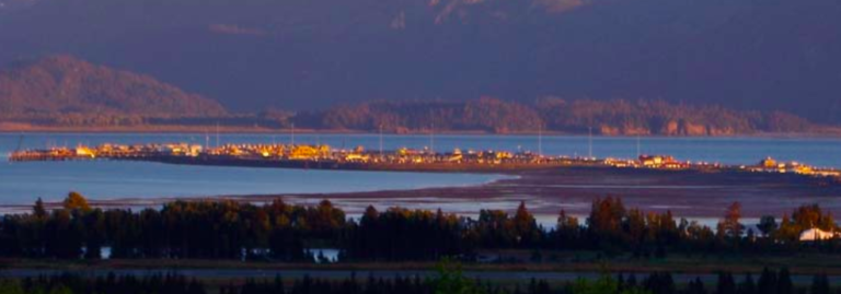 ‘Intent’ is good enough for judge in Homer city council election-residency case