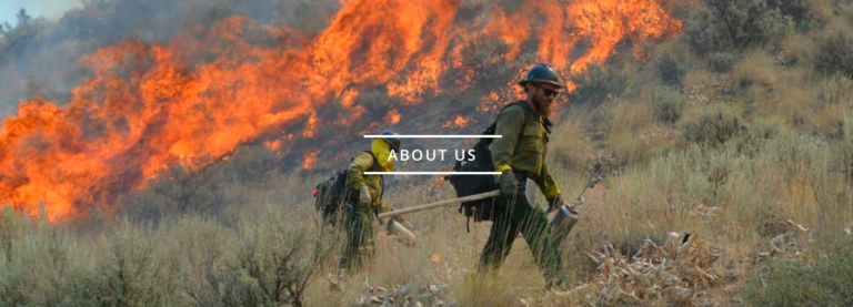 State of the State guest list has heroes and champions