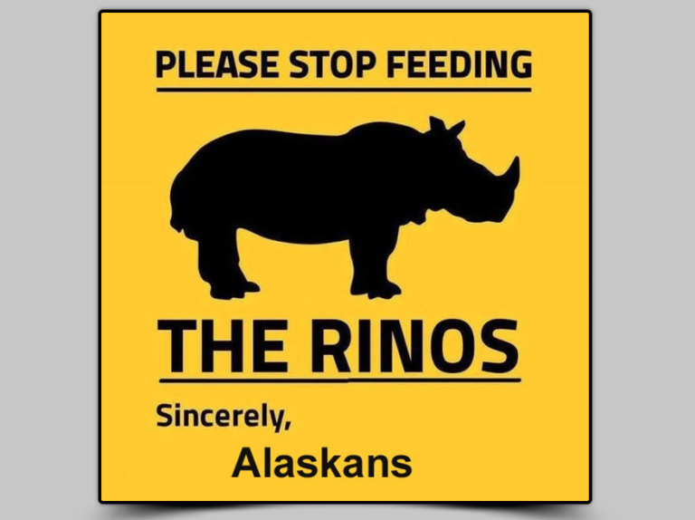 Right-on-right ‘RINO Safari’ group gets fined by APOC