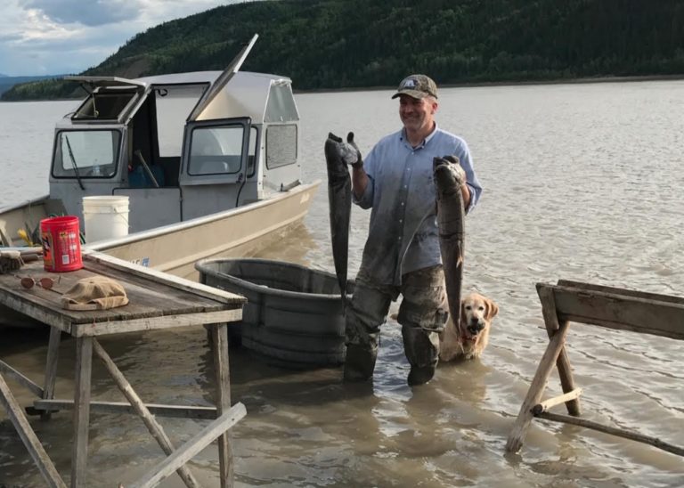 United Fishermen of Alaska dismiss Gross, endorse Sullivan