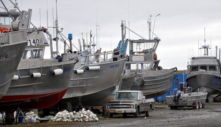 Bristol Bay drift permits drop in value