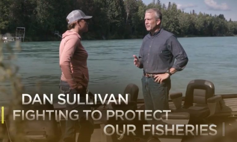 Why did Lisa Murkowski throw an elbow at Al Gross and endorse Dan Sullivan?