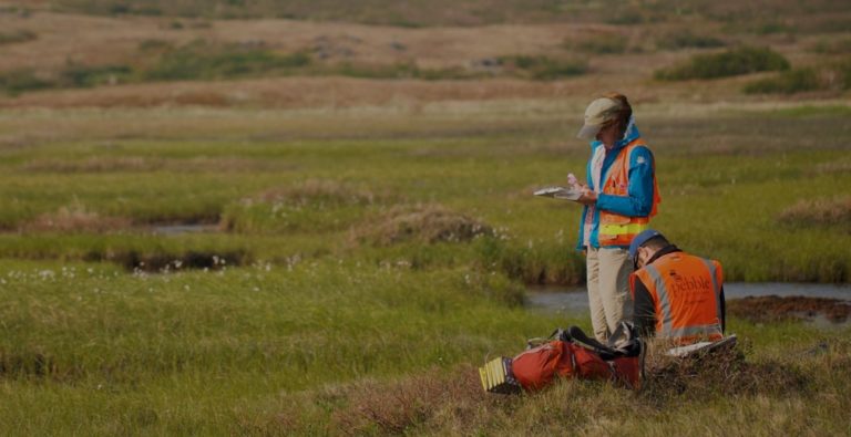 Rick Whitbeck: Pebble bounced back to Alaska Division for further review