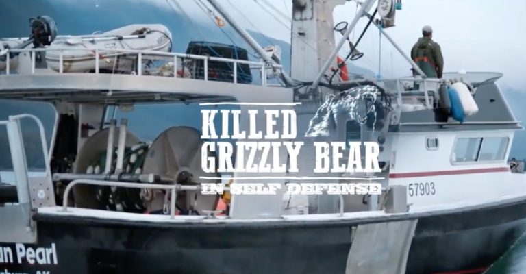 Al Gross’ bear tale doesn’t add up on state documents