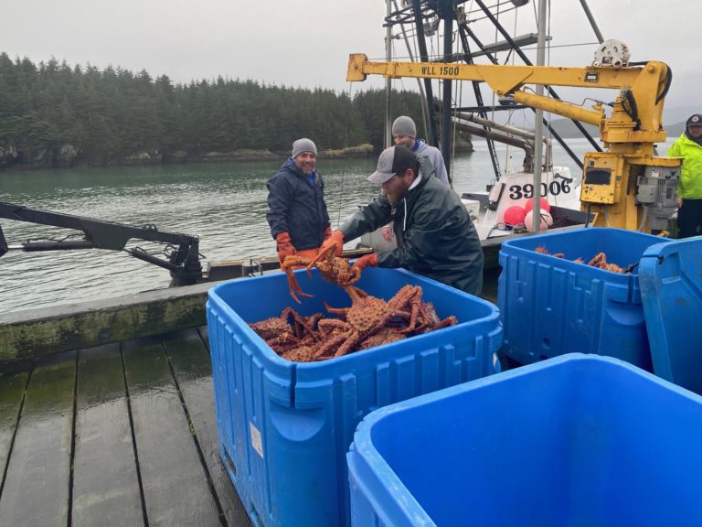 Clay Koplin: Has fish business become media fish politics?