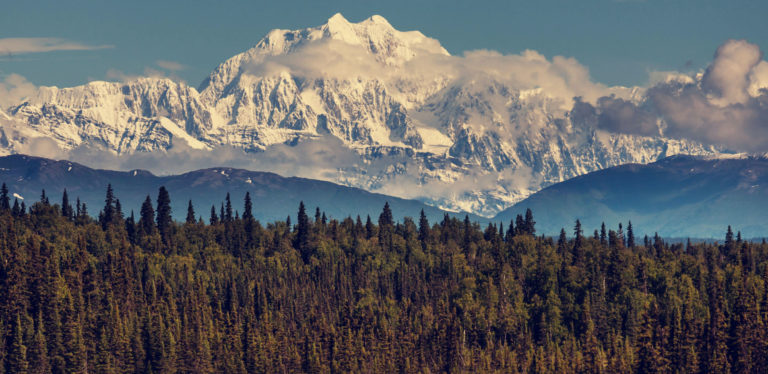 Alaskans can send principled policy champions to Juneau