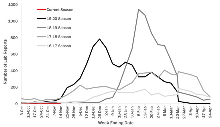 And now some good news: Flu season off to slow start