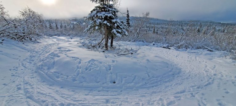 CARES Act trail is partially done, but closed to public