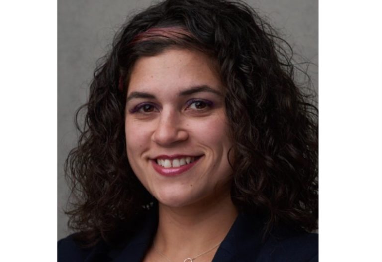 Palmer to consider mask mandate at next meeting