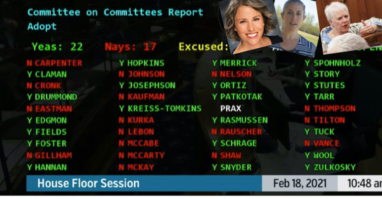 Committees accepted by House Majority, 22-17