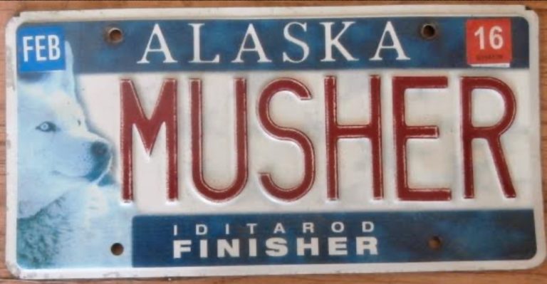 State DMV sets up way for people to report distasteful vehicle license plates