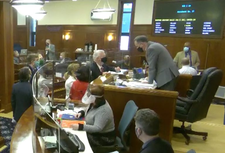 Senate passes resolution allowing virtual meetings