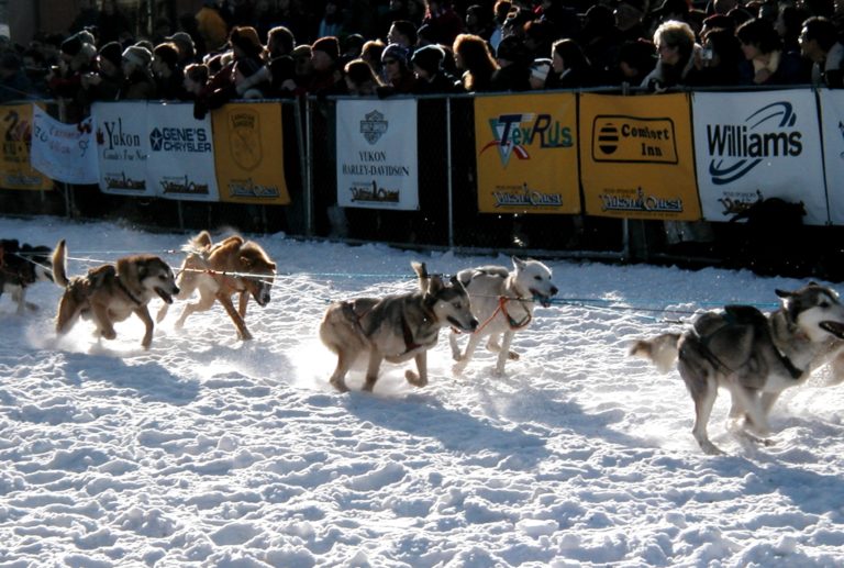 Yukon Quest for 2022 will be two races