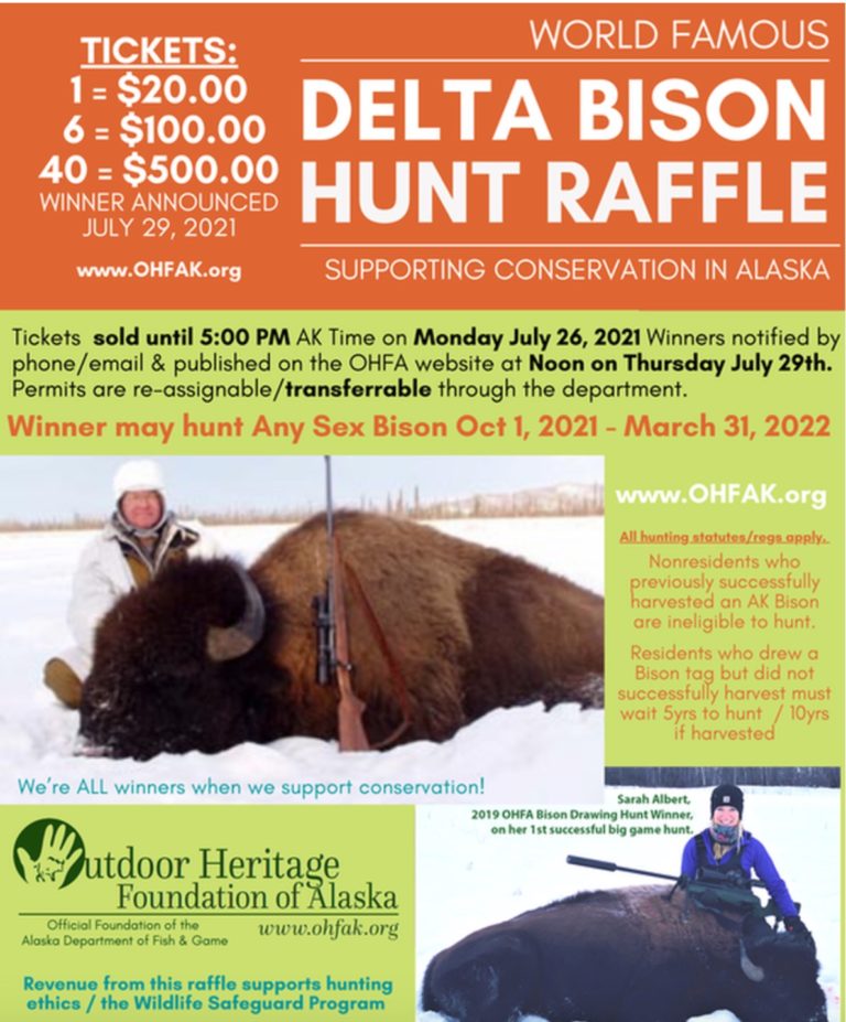 Alaska life hack: Delta bison hunt raffle odds are good this year