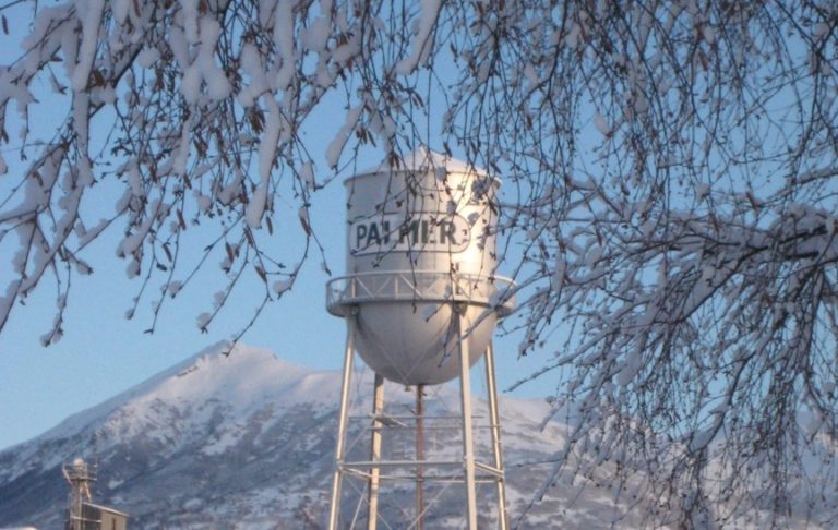 Palmer mayor survives recall, files for reelection