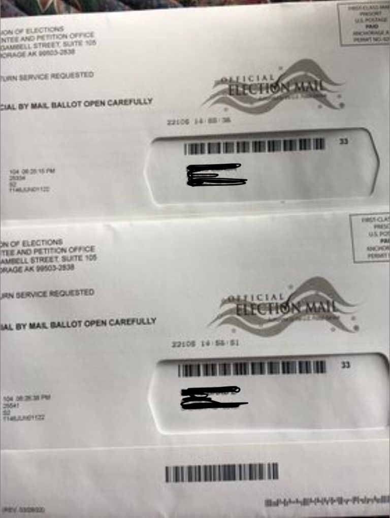 Hayden Ludwig: Automatic voter registration exists to keep Democrats in power. Why aren’t Republicans fighting it?