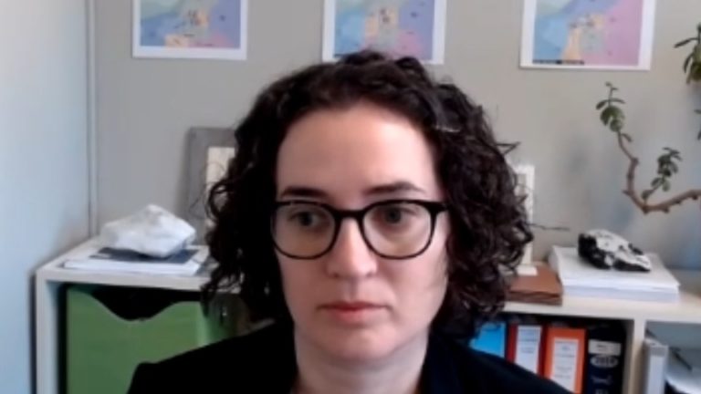 Blogger’s partisan lie about redistricting board member makes it into court, offered as truth to judge by lawyer