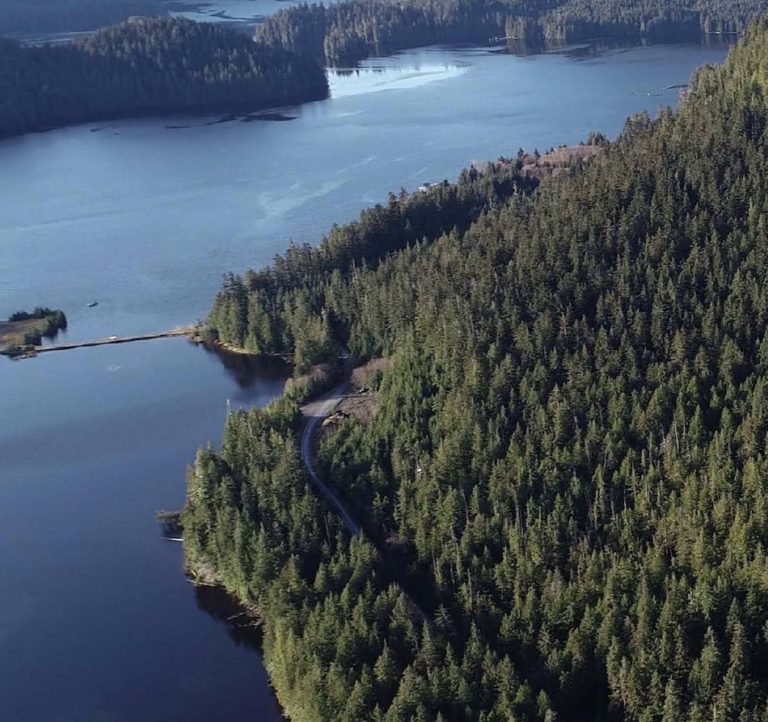 Alaska Life Hack: Alaska land auctions underway