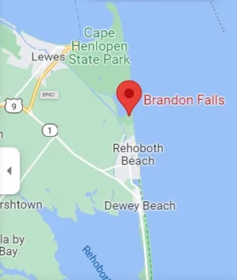 ‘Brandon Falls’ briefly added to Google Maps, marking spot where Biden fell from his bike; Big Tech quickly deleted it