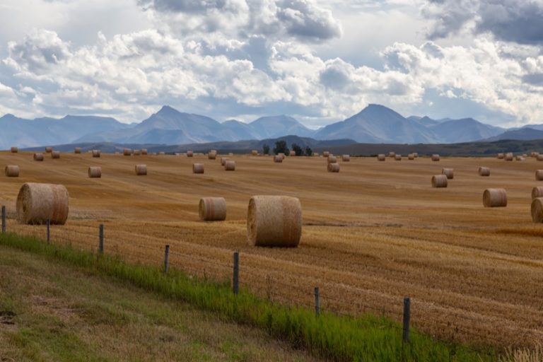 Tariffs on Canada and Mexico coming up