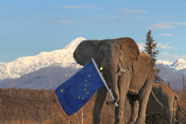 Breaking: ‘YOU’VE LOST US!’ Alaska’s Republican women’s clubs vow to withdraw support from veto overriders