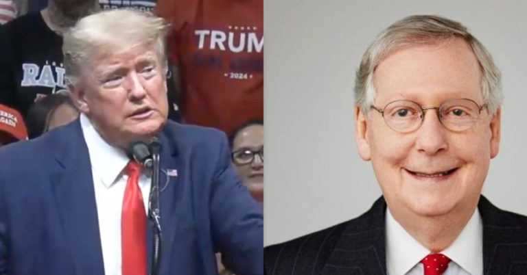 Tristan Justice: Re-electing McConnell was the best gift establishment GOP could give to Trump