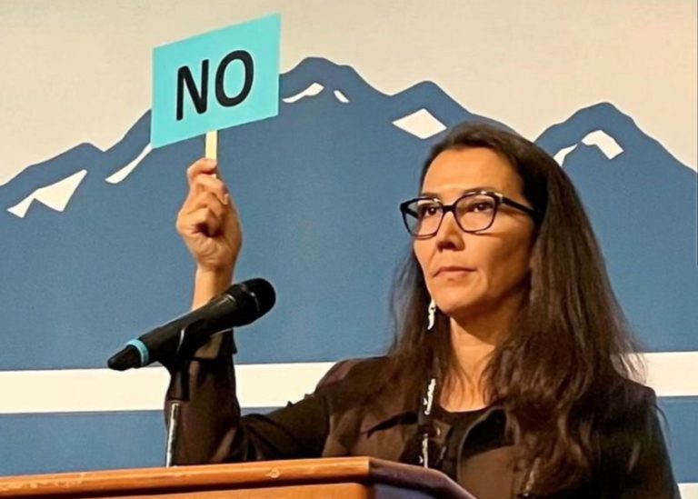 Fish, family, but no freedom to cook: Peltola votes against Americans’ right to own a gas kitchen stove