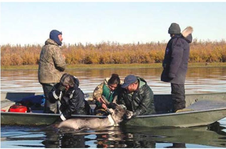AFN to vote on resolution to force subsistence to mean ‘Native only’
