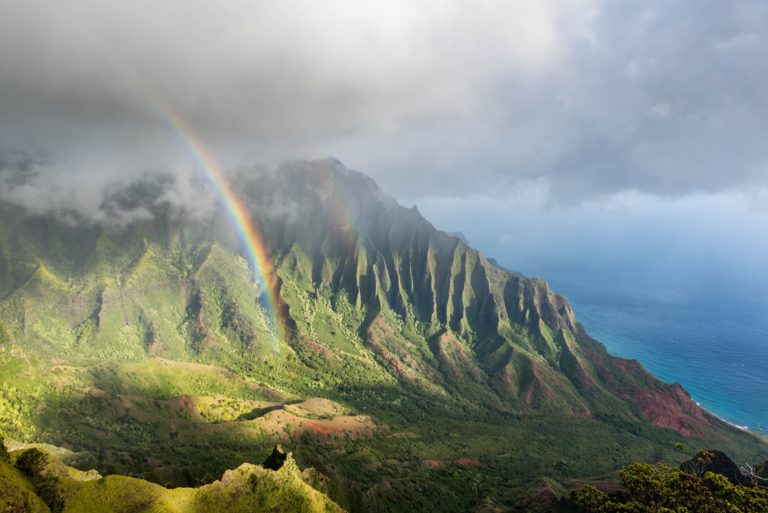 Hawaii Supreme Court cites HBO movie as it upholds conviction for unregistered firearm