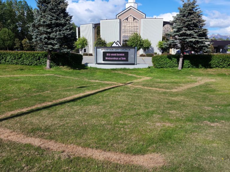 Vandals burn chemical swastika into lawn of Mountain City Church