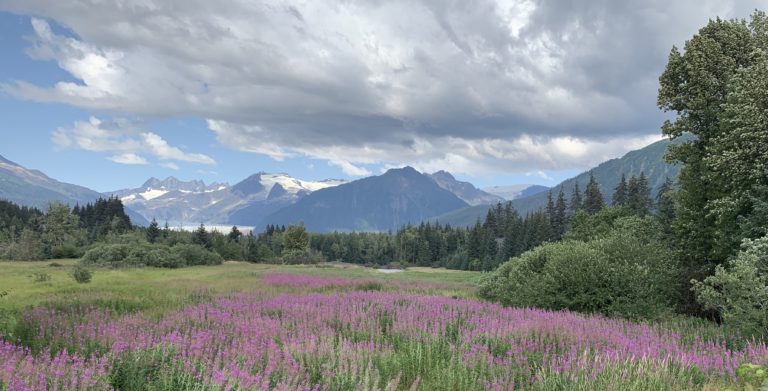 Federal government stakes claim on emerging lands near Mendenhall Glacier in Juneau