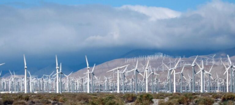 Steve Goreham: The great wind and solar land grab