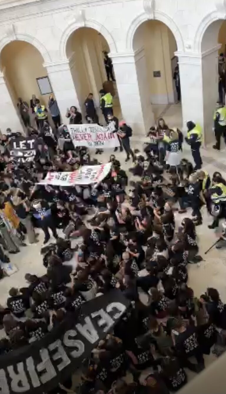 Alaskan advocate caught up when pro-Hamas protesters storm Cannon Building at Capitol